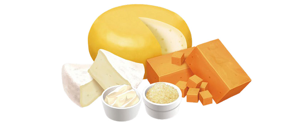 写真の説明を入れます