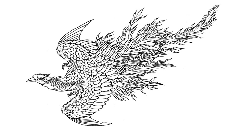 写真の説明を入れます