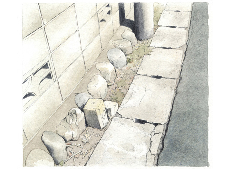 写真の説明を入れます