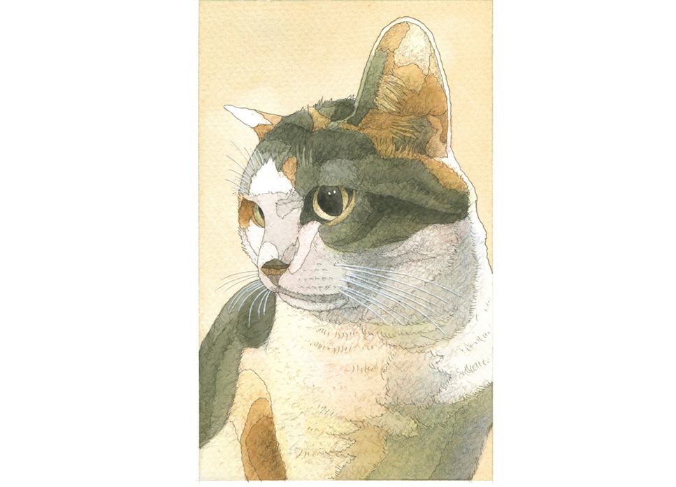 写真の説明を入れます