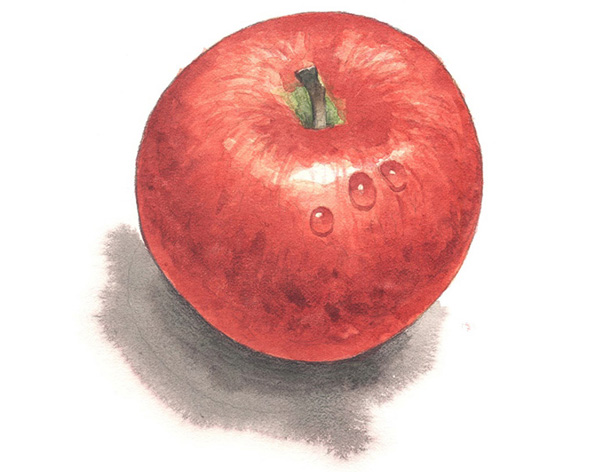 写真の説明を入れます