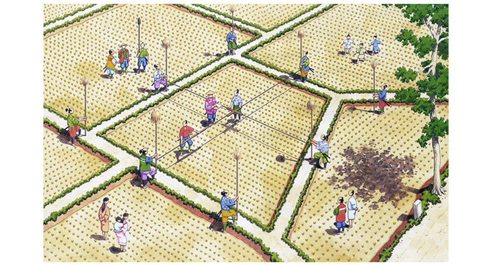 写真の説明を入れます