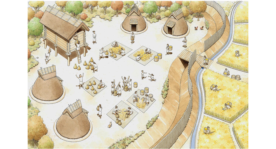 写真の説明を入れます