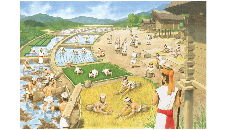 写真の説明を入れます