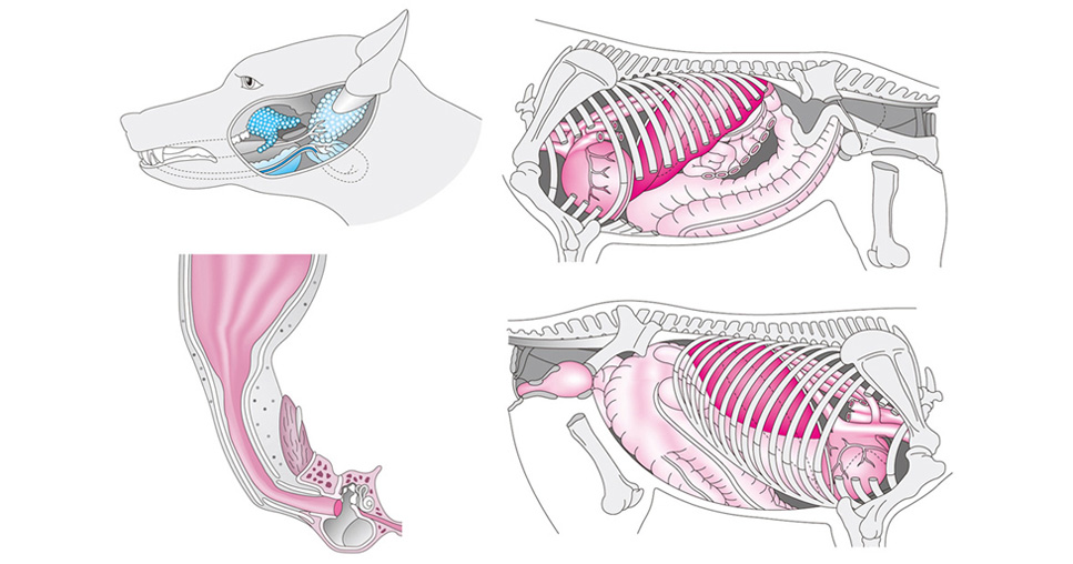 写真の説明を入れます