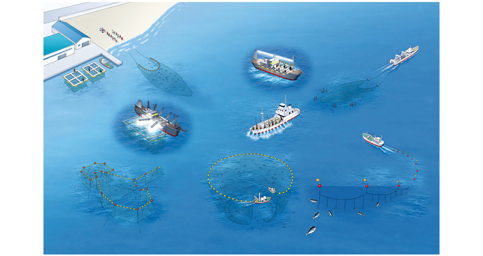 写真の説明を入れます