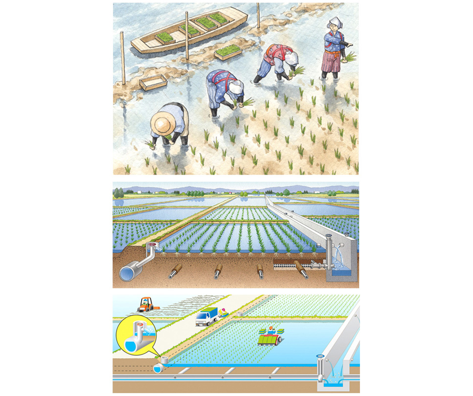 写真の説明を入れます