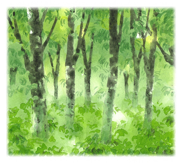 写真の説明を入れます